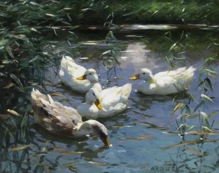Cuatro patos en el estanque
